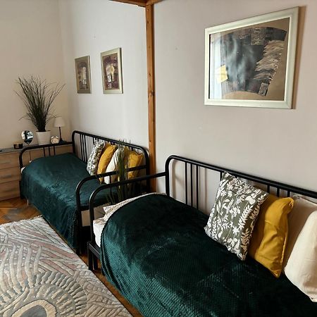 Central Apartment Next To The Elisabeth Bridge Budapeste Exterior foto
